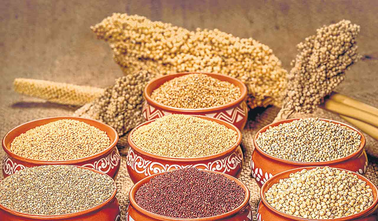 Millets: The Tiny Superfood Powerhouse for Kids
